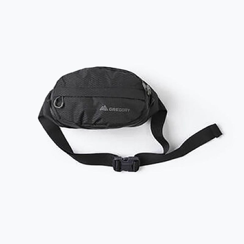 Раница Gregory Nano Waistpack черна 126861 11