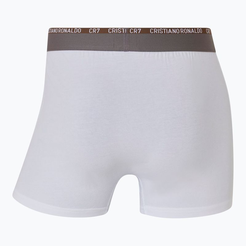 Мъжки боксерки CR7 Basic Trunk 3 чифта multicolour 6