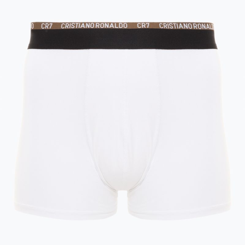 Мъжки боксерки CR7 Basic Trunk 10 чифта многоцветен 2