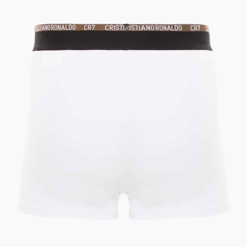 Мъжки боксерки CR7 Basic Trunk 10 чифта многоцветен 5