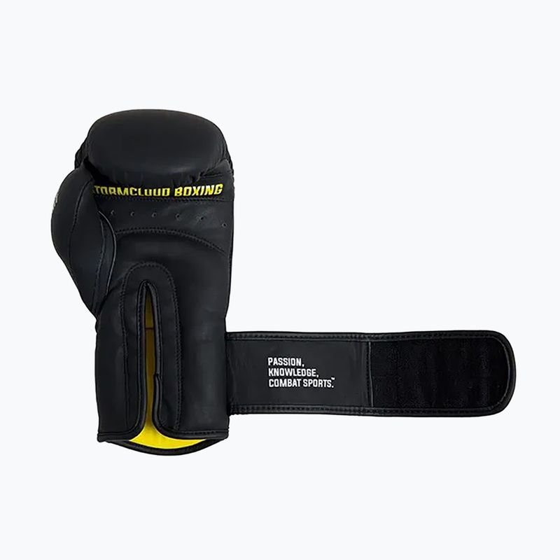Боксови ръкавици StormCloud Boxing Pro black 6