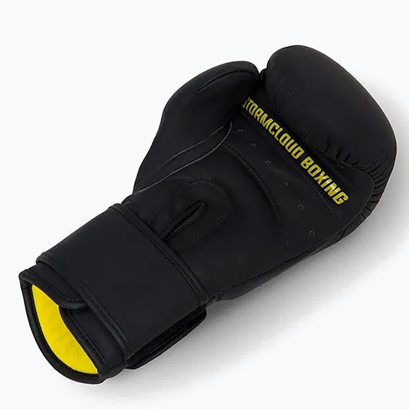 Боксови ръкавици StormCloud Boxing Pro black 8