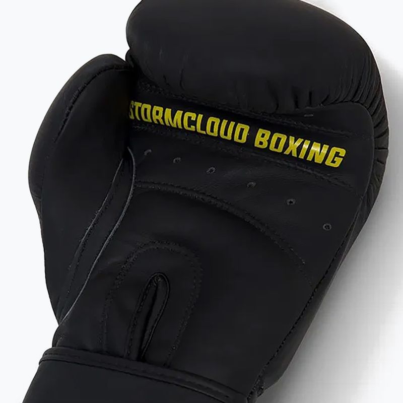Боксови ръкавици StormCloud Boxing Pro black 9