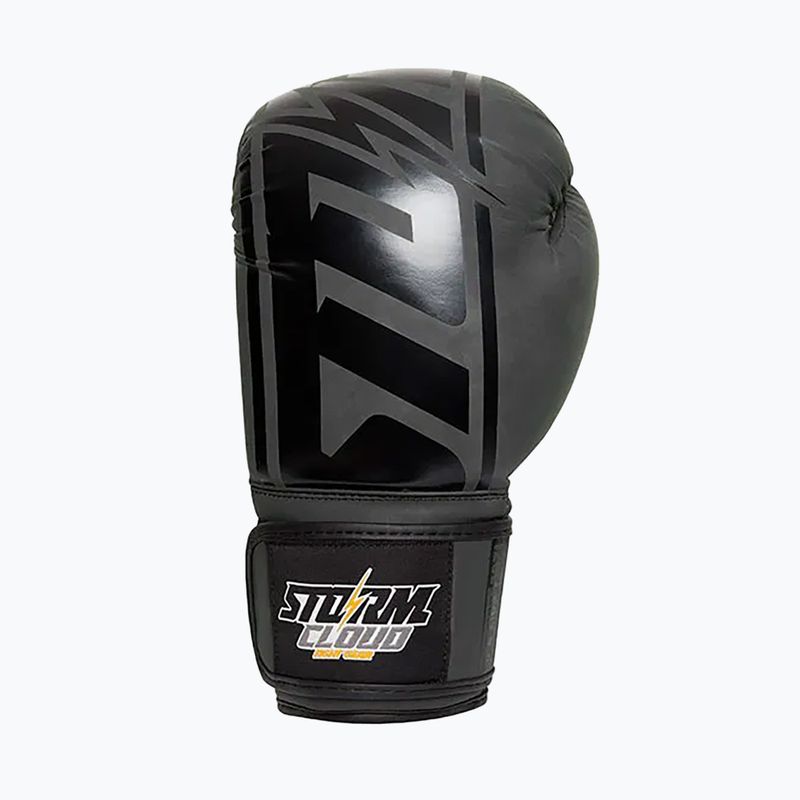 Боксови ръкавици StormCloud Bolt 2.0 black/black 3