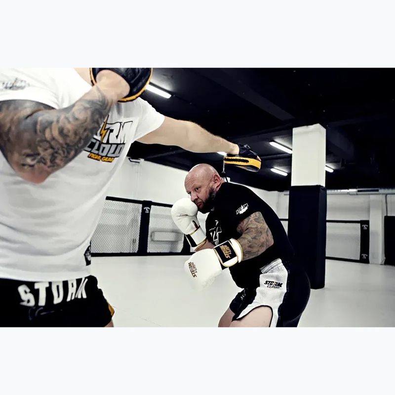 Боксови ръкавици StormCloud Boxing Pro white/gold 8
