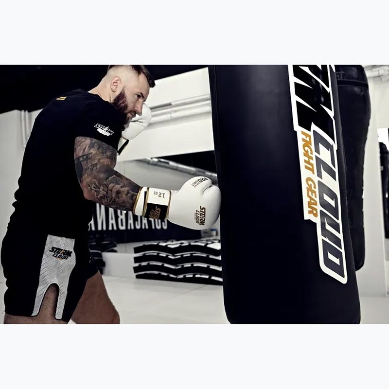 Боксови ръкавици StormCloud Boxing Pro white/gold 11