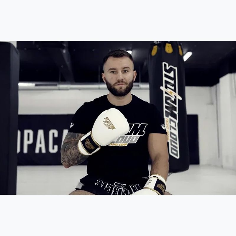 Боксови ръкавици StormCloud Boxing Pro white/gold 12