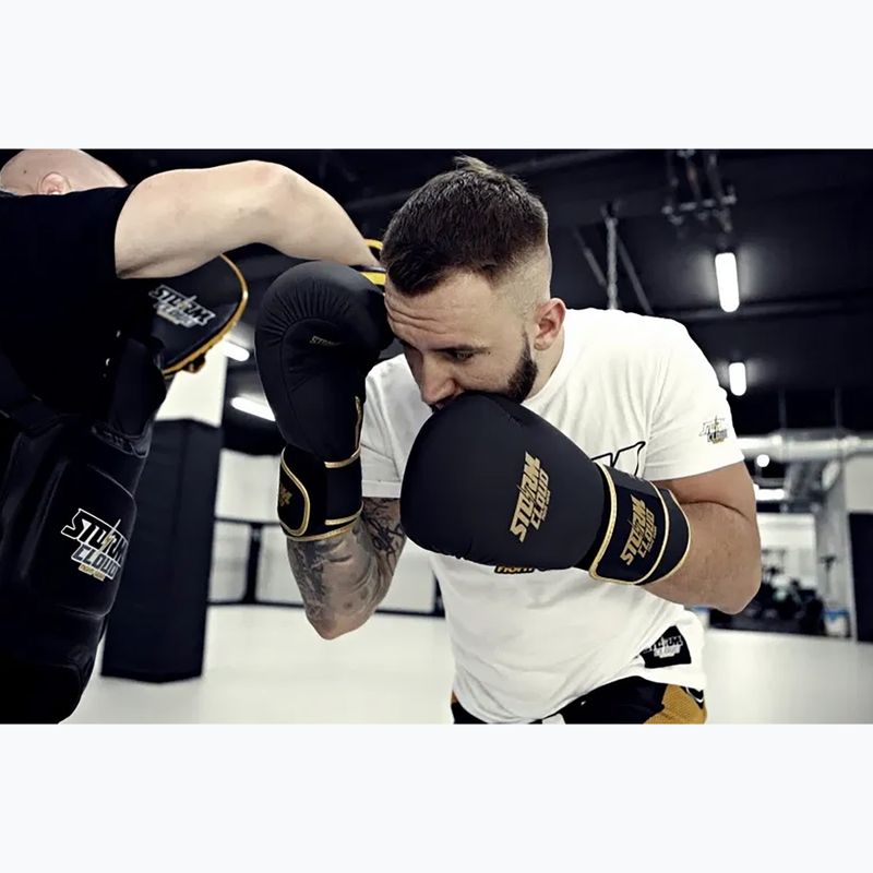 Боксови ръкавици StormCloud Boxing Pro black/gold 13