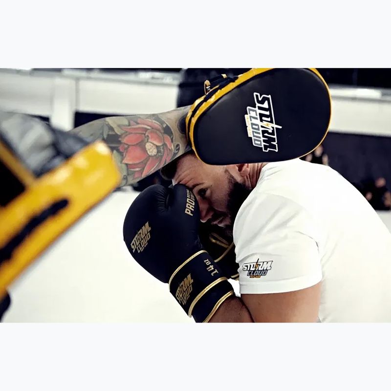 Боксови ръкавици StormCloud Boxing Pro black/gold 14