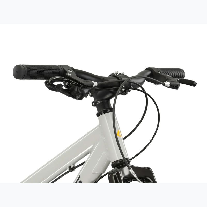 Детски велосипед KROSS Dust Jr 1.0 gray/black/gloss 4
