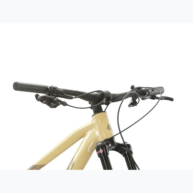Дамски планински велосипед KROSS Level 6.0 beige/brown/glossy 4