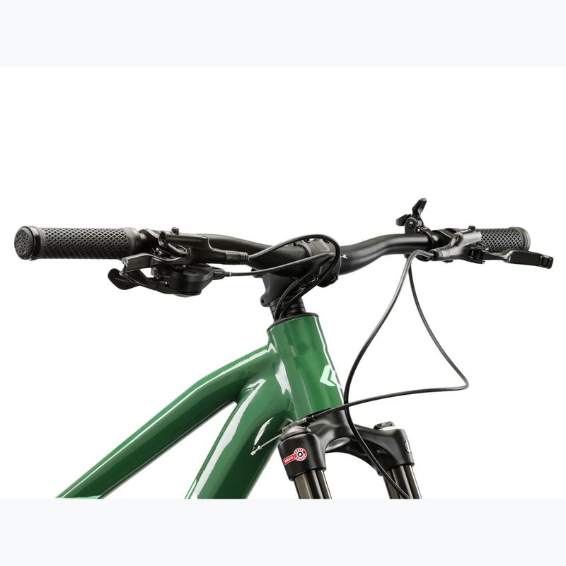 Планински велосипед KROSS Level 5.0 green/green/shiny 4