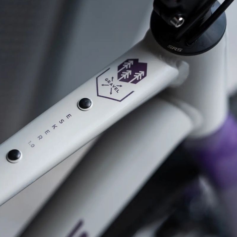Гравел велосипед KROSS Esker 1.0 FL grey/purple/gloss 15