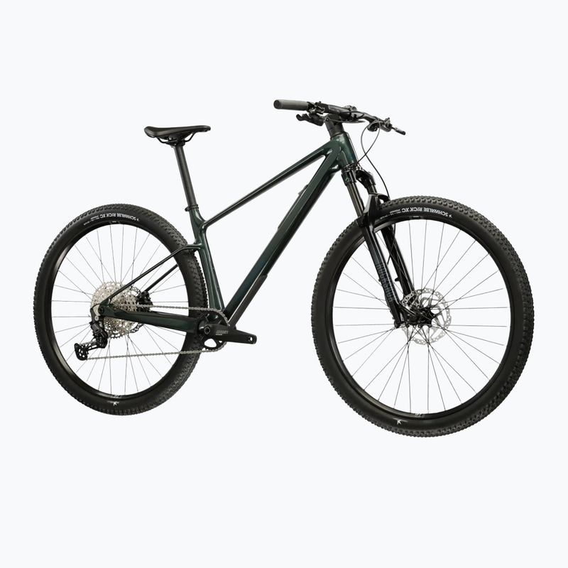 Планински велосипед KROSS Level RS 1.0 green/chameleon/shiny 2