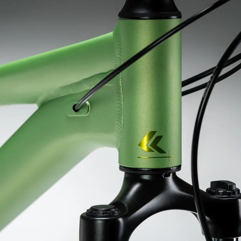 Дамски планински велосипед KROSS Lea X200 W 29 green/green/matte 14
