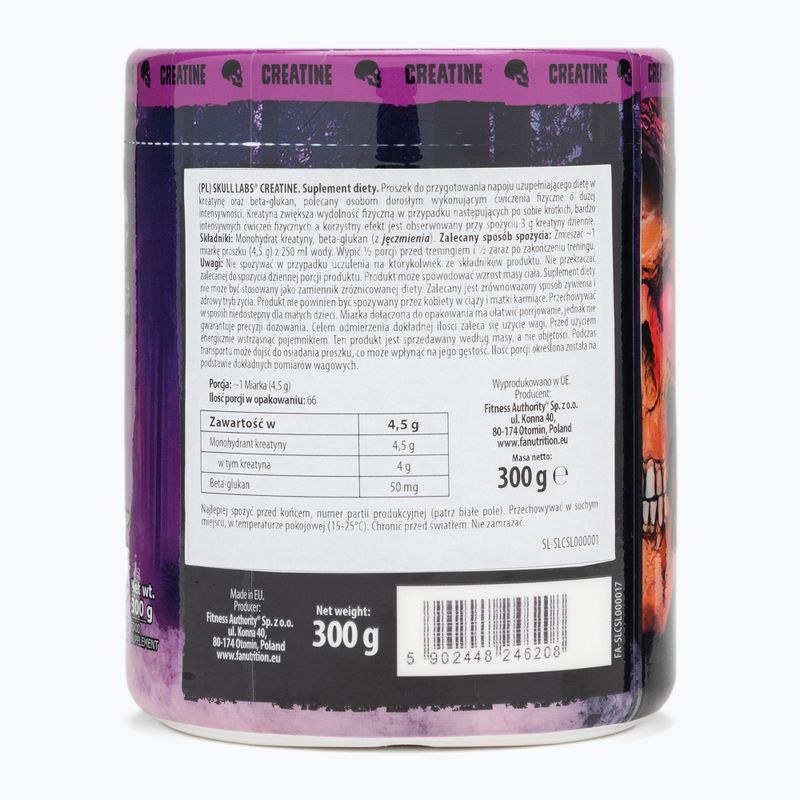 Креатин на Fitness Authority Skull Labs 300 g 2