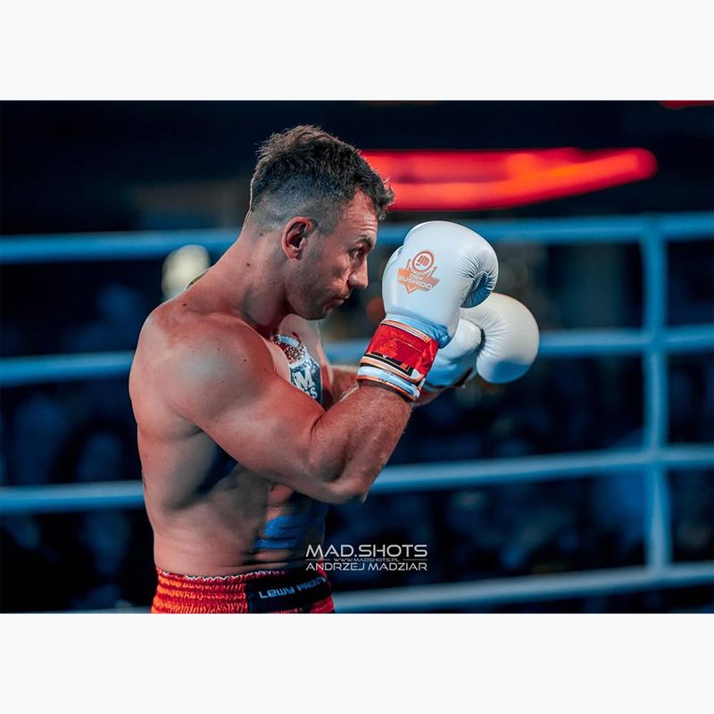 Боксови ръкавици Bushido DBD-B-2 бели 12