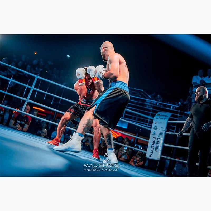 Боксови ръкавици Bushido DBD-B-2 бели 13