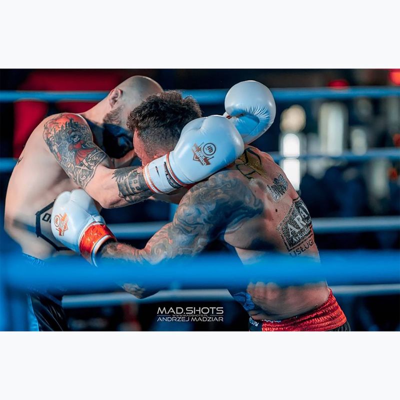 Боксови ръкавици Bushido DBD-B-2 бели 14