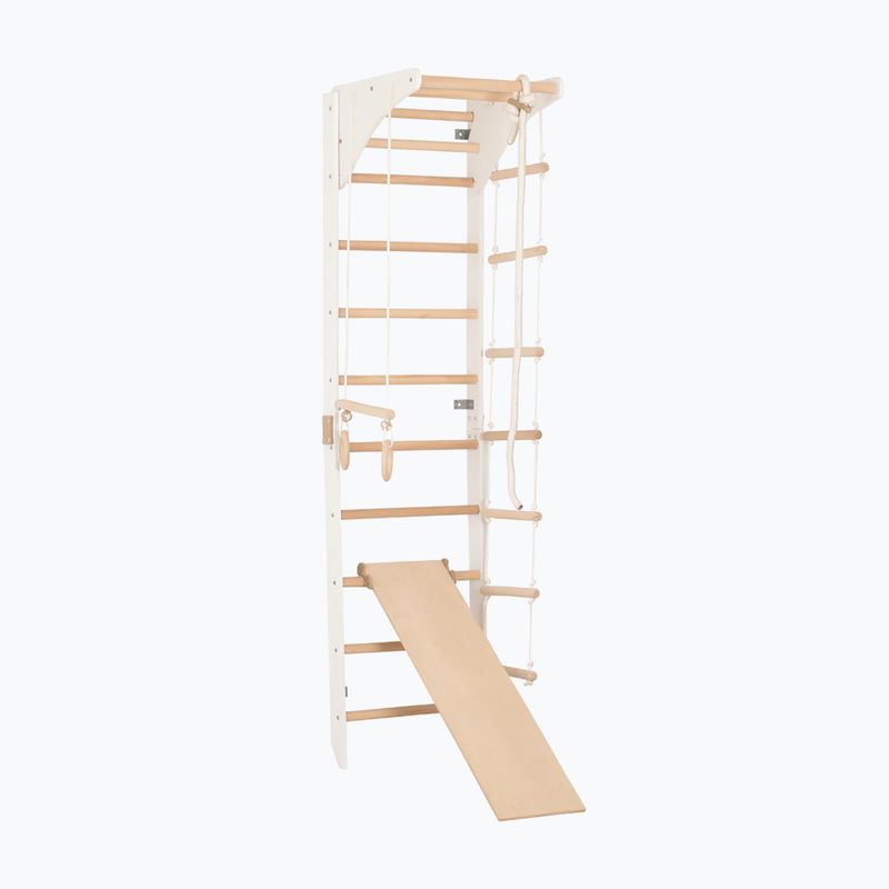 Гимнастическа стълба RINAGYM SPR C+SLIDE 2