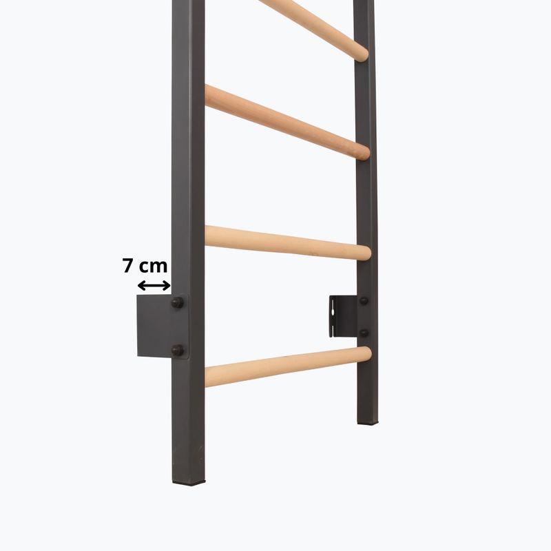 Гимнастическа стълба RINAGYM Steel 1 graphit 10