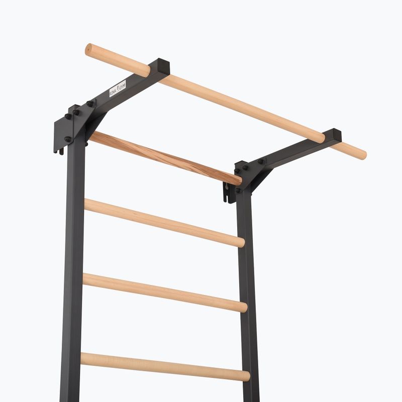 Гимнастическа стълба RINAGYM Steel Pure graphit 5