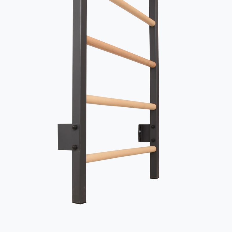 Гимнастическа стълба RINAGYM Steel Pure graphit 9