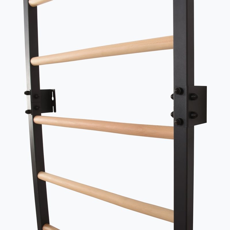 Гимнастическа стълба RINAGYM Steel Pure graphit 10