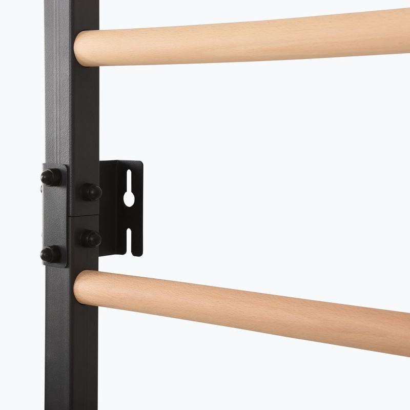 Гимнастическа стълба RINAGYM Steel Pure graphit 11