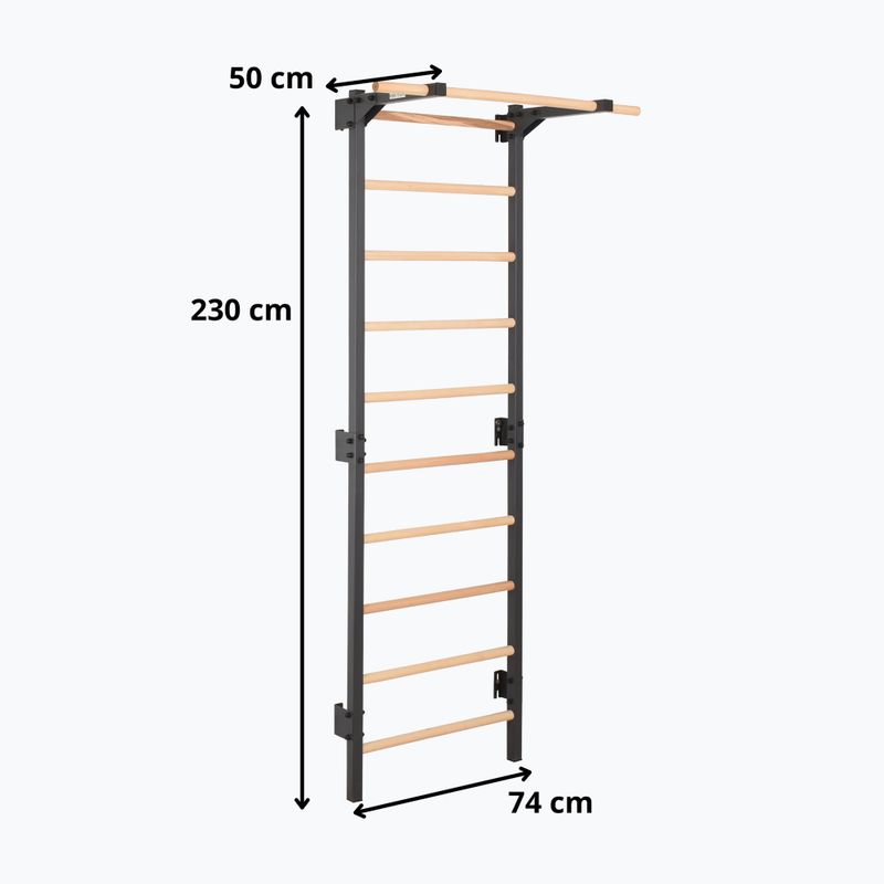 Гимнастическа стълба RINAGYM Steel Pure graphit 12
