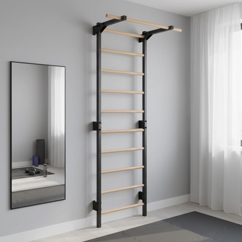 Гимнастическа стълба RINAGYM Steel Pure graphit 14