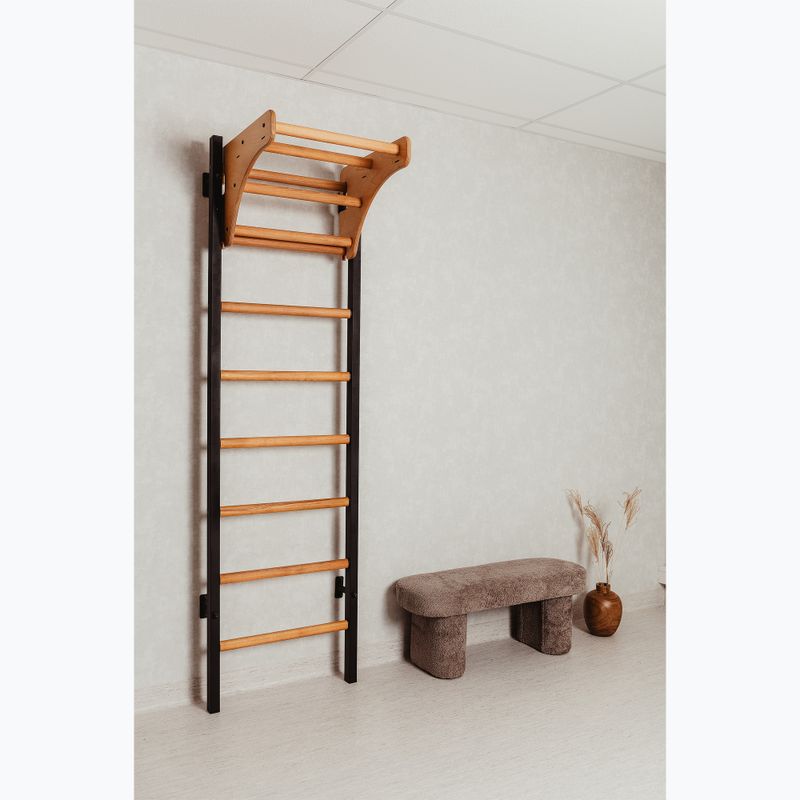 Гимнастическа стълба BenchK черна BK-211B 13