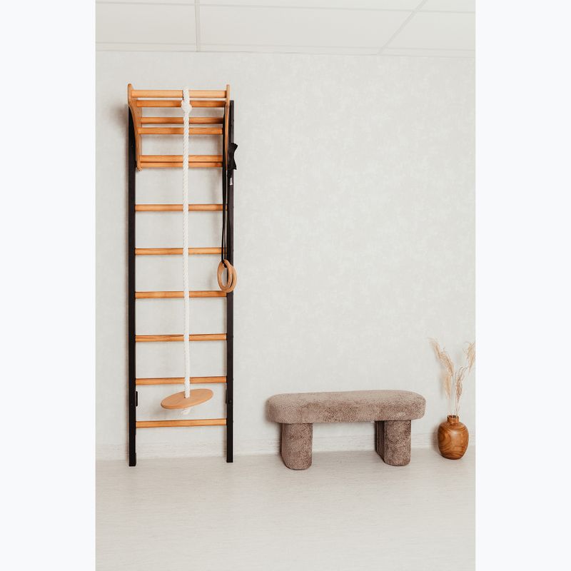 Стълба за гимнастика BenchK черна BK-211B+A076 14