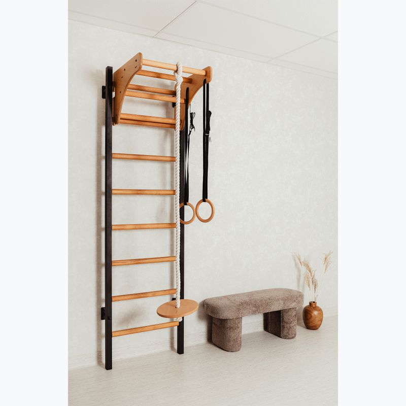 Стълба за гимнастика BenchK черна BK-211B+A076 15