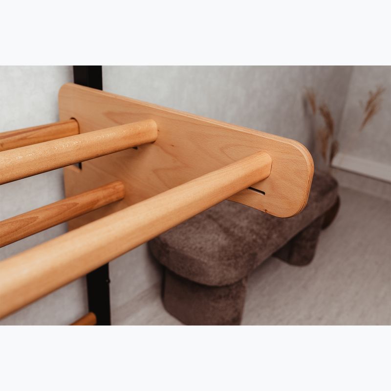 Стълба за гимнастика BenchK черна BK-211B+A076 8