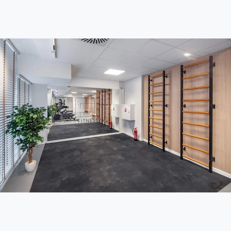 Гимнастическа стълба BenchK черна BK-700B 13