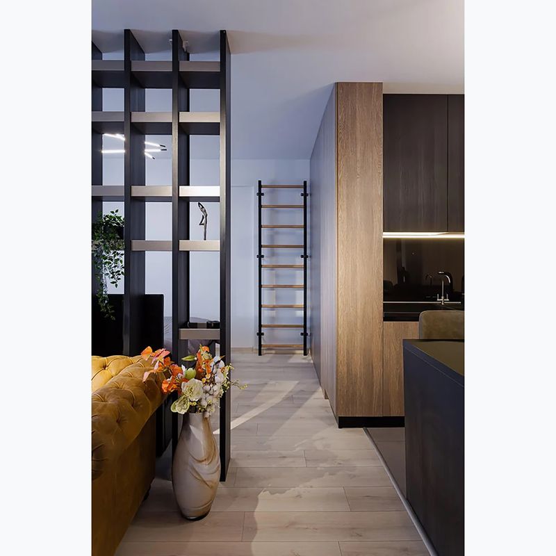 Гимнастическа стълба BenchK черна BK-700B 12