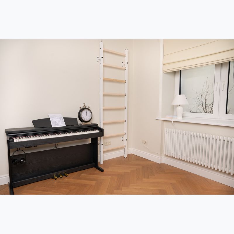 Гимнастическа стълба BenchK, бяла BK-210W 8