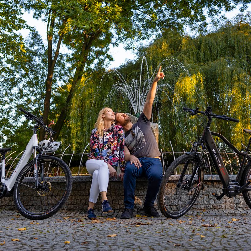 Ecobike MX300 LG електрически велосипед черен 1010307 18