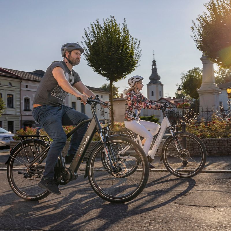 Ecobike MX300 LG електрически велосипед черен 1010307 19