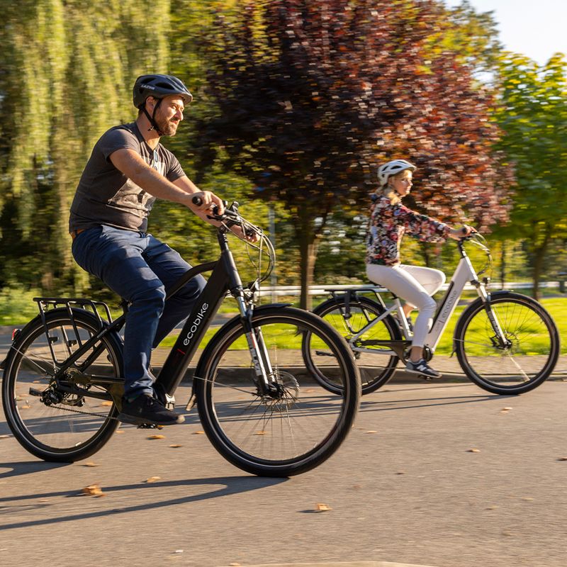 Ecobike MX300 LG електрически велосипед черен 1010307 20