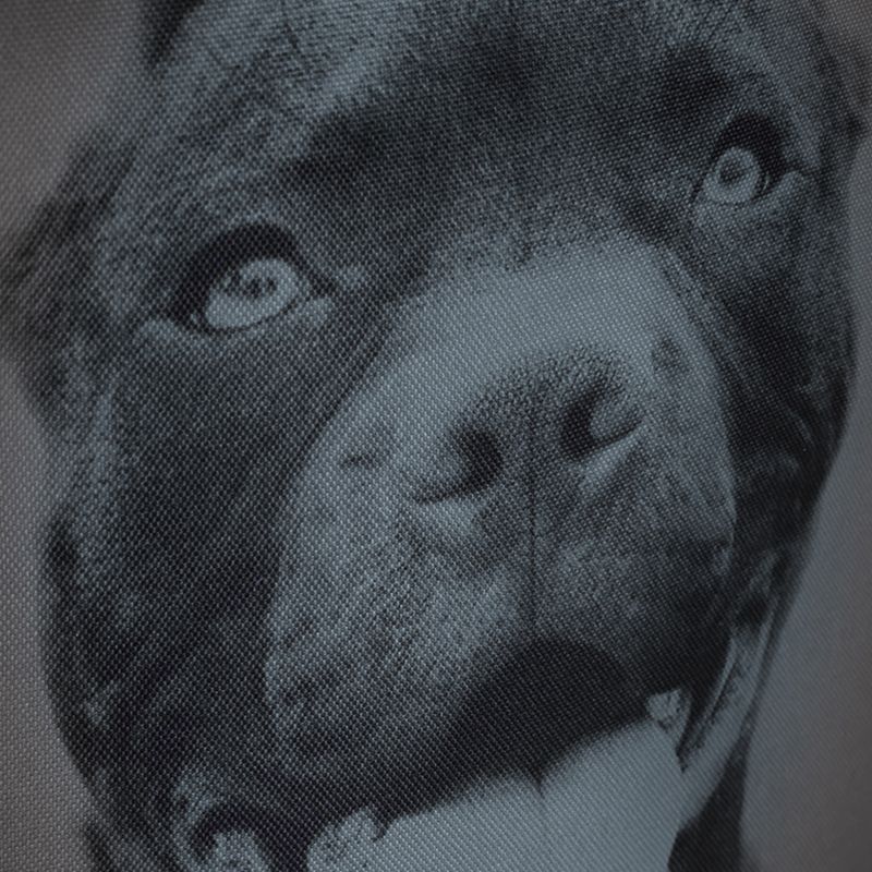 Мъжка раница Pitbull West Coast Pitbull Ir black/grey 12