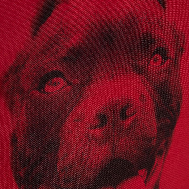 Мъжка раница Pitbull West Coast Pitbull Ir black/red 13