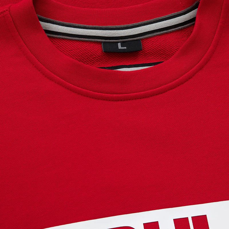 Мъжки суитшърт Pitbull West Coast Crewneck Hilltop Terry Group red 3