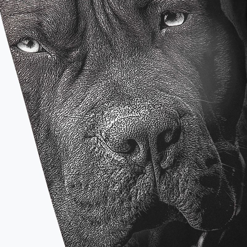 Мъжки гамаши Pitbull West Coast Born in 1989 black 3
