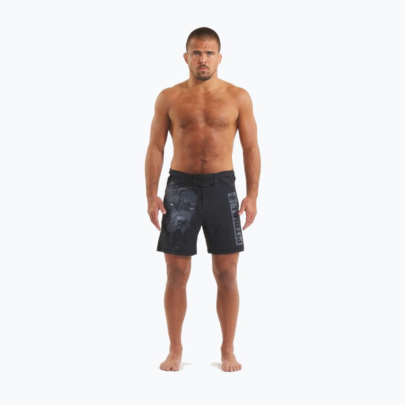 Мъжки шорти за граплинг Pitbull West Coast Grappling 3 Born in 1989 black 2