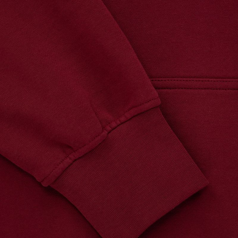 Мъжки суитшърт Pitbull West Coast Everts Hooded burgundy 5