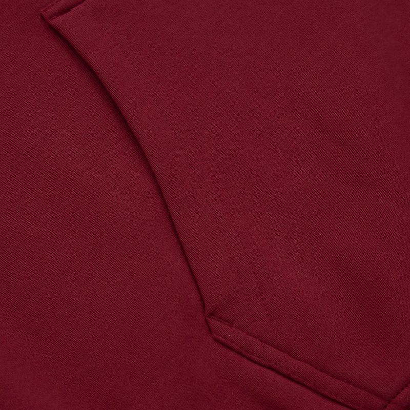 Мъжки суитшърт Pitbull West Coast Everts Hooded burgundy 6