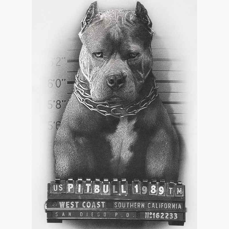 Мъжка тениска Pitbull West Coast Mugshot 2 white 8