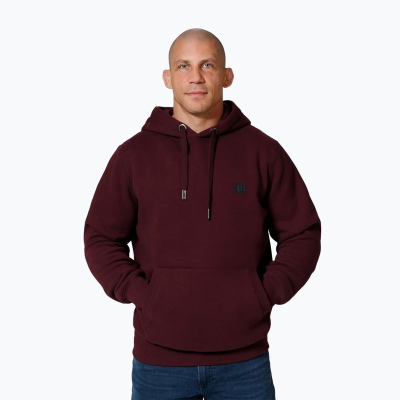 Мъжки суитшърт Pitbull Small Logo Hooded burgundy